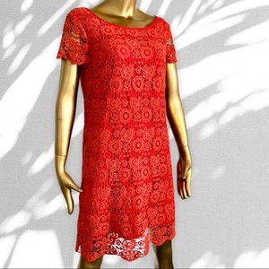 Lovely Moulinette Souers hand-crocheted dress cap flutter sleeves Anthropologie